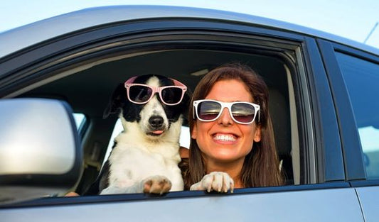 Traveling with Dogs: Tips for Pet-Friendly Adventures