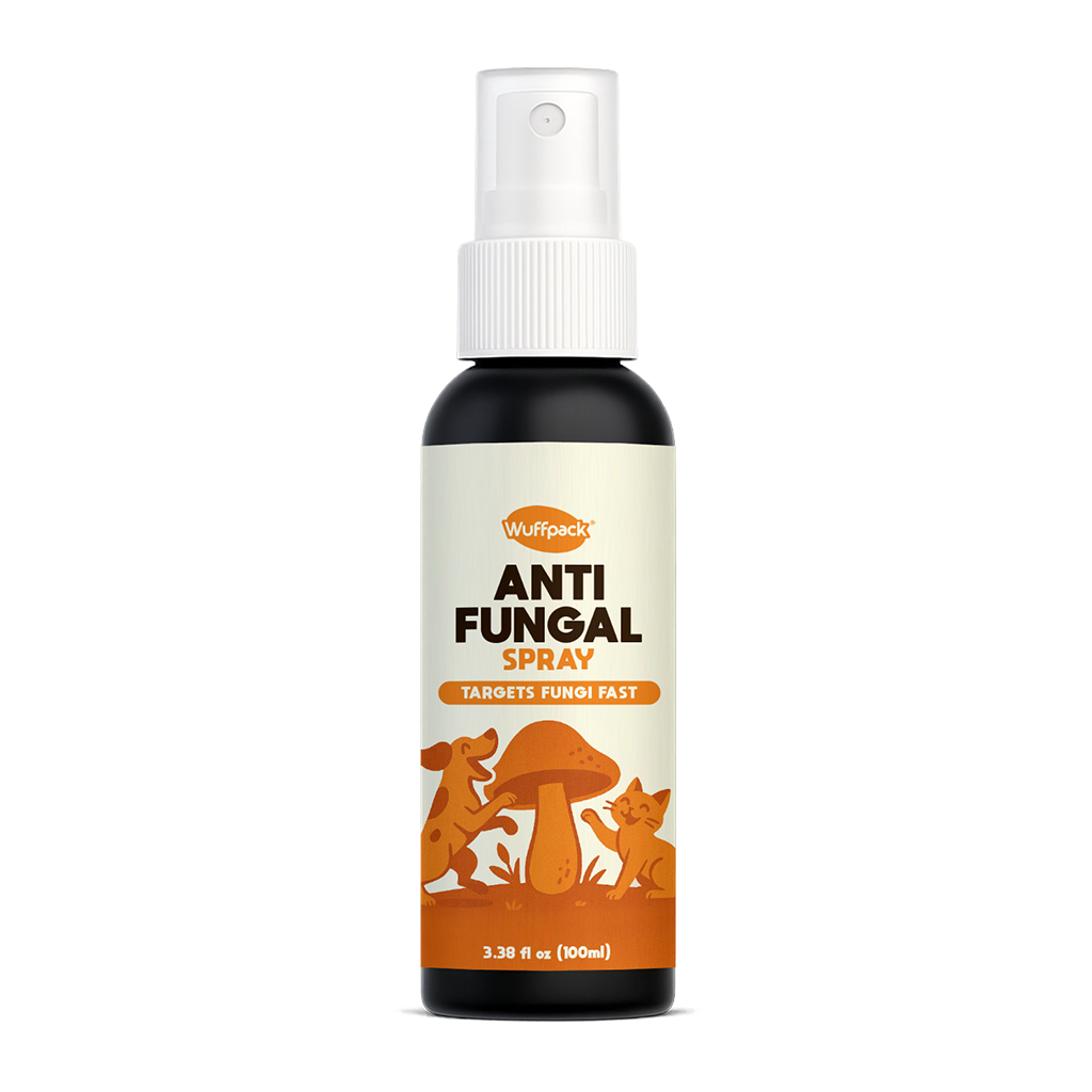 Anti Fungal Spray