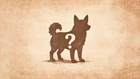 Dog Breeds You Probably Didn’t Know Exist