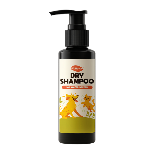 Dry Shampoo